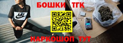 индика Лесосибирск