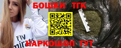 индика Лесосибирск