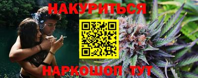 индика Лесосибирск