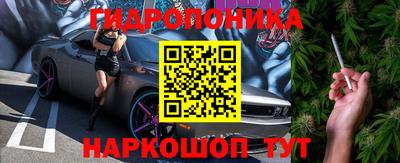 индика Лесосибирск