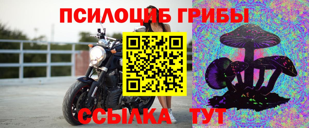 Галлюциногенные грибы GOLDEN TEACHER  Галлюциногенные грибы мухоморы  Бузулук  Вход с VPN 