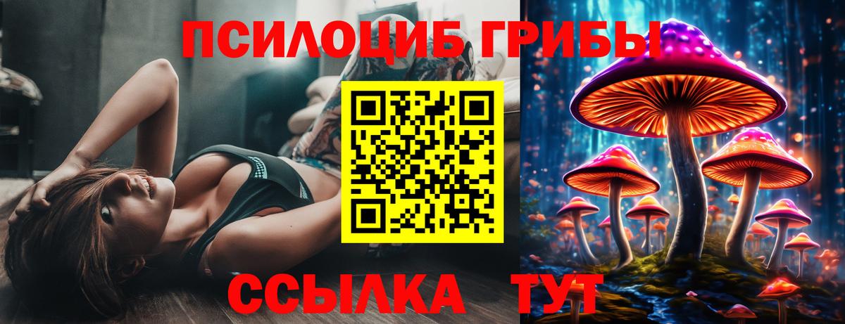 Псилоцибиновые грибы ЛСД Бузулук